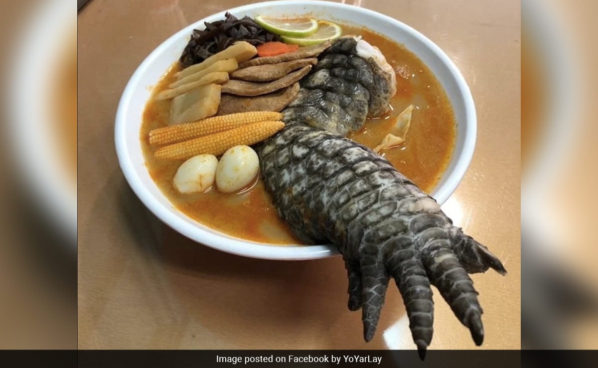 “Godzilla Ramen”: Taiwanese Restaurant’s Bizarre Dish Shocks Internet – NDTV Feedzy